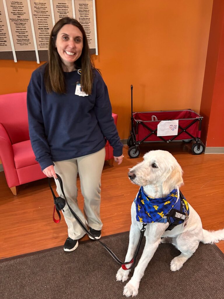 Therapy Dog
